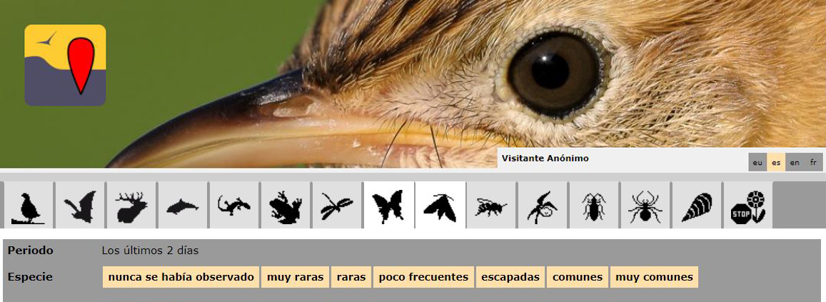 Ornitho